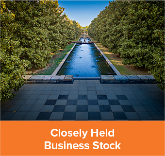Closely Held Business Stock Rollover