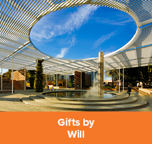 Gifts by Will Rollover